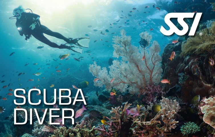 Scuba Diving Course for Diabetics